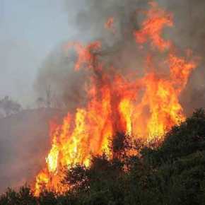 Φλέγεται η Κρήτη! – Πυρκαγιές και σε Ηλεία, Κιάτο και Αυλώνα – Δεκάδες τα πύρινα μέτωπα σε τέσσερα σημεία της&nbsp;χώρας