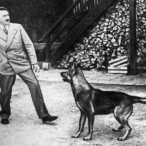 Αιματοκύλισαν την Ευρώπη, αλλά θέσπισαν αυστηρούς νόμους για την προστασία των&nbsp;ζώων.