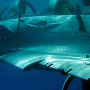 Ξεκινά η ανέλκυση του μοιραίου Mirage από βάθος 1000&nbsp;μέτρων