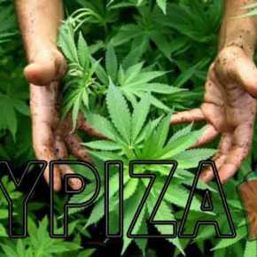 Στο «ψιλό» μας πήραν οι Γερμανοί! Deutsche Welle: Ανάπτυξη στην Ελλάδα με…&nbsp;κάνναβη;