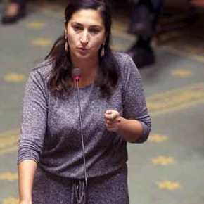 ΤΟΥΡΚΑΛΑ ΥΠΟΥΡΓΟΣ ΒΕΛΓΙΟΥ ΖΗΤΗΣΕ ΝΑ ΑΠΑΓΟΡΕΥΤΟΥΝ ΤΑ ΤΟΥΡΚΙΚΑ ΣΕ ΜΕΙΟΝΟΤΙΚΑ ΣΧΟΛΕΙΑ ΤΟΥ&nbsp;ΒΕΛΓΙΟΥ!!!