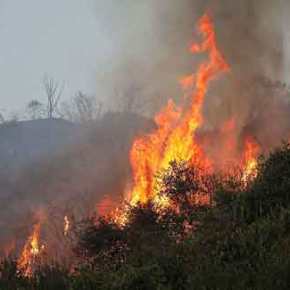Συνελήφθη Βούλγαρος για εμπρησμό στο οχυρό&nbsp;Ρούπελ
