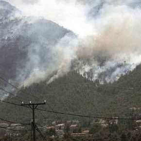 Φωτιά ΤΩΡΑ στην Πεντέλη – Νέος συναγερμός στην&nbsp;Πυροσβεστική