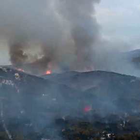 Φούντωσε η φωτιά στους Αγίους Θεοδώρους: Δεν μπορούν να προσεγγίσουν οι πυροσβεστικές δυνάμεις&nbsp;(video)