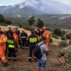 «Καταπέλτης» οι Πυροσβέστες για την αντίδραση της κυβέρνησης στη&nbsp;φωτιά