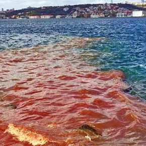 ΟΤΑΝ Ο ΒΟΣΠΟΡΟΣ «ΒΑΦΕΤΑΙ» ΜΕ… ΑΙΜΑ!&nbsp;(βίντεο)