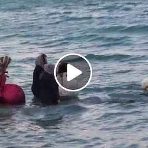 ΝΟΜΙΖΕΙΣ…. Νομίζεις ΚΟΡΟΪΔΟ ότι είναι «πρόσφυγες» που κινδυνεύουν στην Θάλασσα… ΒΙΝΤΕΟ ΑΠΟΚΑΛΥΨΗ από την Ιεράπετρα….