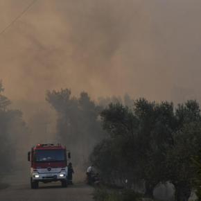 Εύβοια: Κερδίζεται η μάχη με τις φλόγες – Σώθηκαν τα σπίτια – Αυταπάρνηση των&nbsp;πυροσβεστών