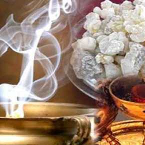 ΤΟ ΛΙΒΑΝΙ ΠΟΥ… ΤΡΕΜΕΙ Ο «ΕΞΩ ΑΠΟ ΕΔΩ», ΕΙΝΑΙ ΓΙΑ ΠΟΛΛΑ&nbsp;ΘΕΡΑΠΕΥΤΙΚΟ