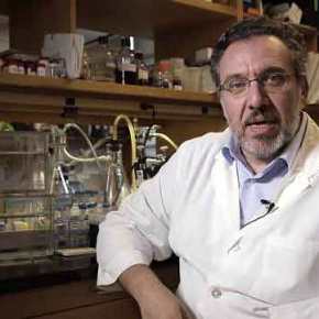 Όθων Ηλιόπουλος: Ζήτημα χρόνου η αποτελεσματική αντιμετώπιση του&nbsp;καρκίνου