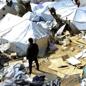 «Αυτή είναι η δική μας&nbsp;ζούγκλα»