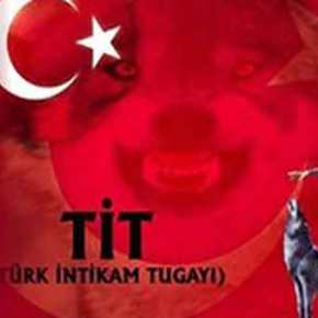 «Κύμα» βίας εξαπολύει ο Ερντογάν: Δράσεις παραστρατιωτικών οργανώσεων εντός και εκτός&nbsp;Τουρκίας