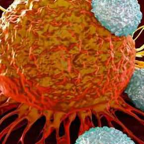 Σχεδόν 50 φάρμακα για άλλες παθήσεις πολεμούν δυνατά τον&nbsp;καρκίνο