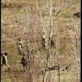 Πολύ ύποπτο: Τούρκοι “σαπίζουν” στο ξύλο μετανάστες on air…&nbsp;ΒΙΝΤΕΟ