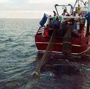 Xίος και Λέσβος είναι «περικυκλωμένες» από στόλο τουρκικών αλιευτικών: Καμία αντίδραση από την&nbsp;Αθήνα