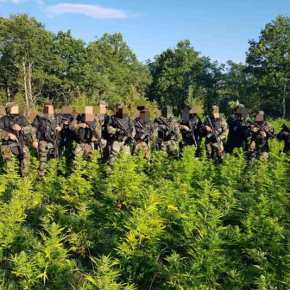 Η ΕΚΑΜ Θεσσαλονίκης κυριαρχεί στη μάχη κατά των ναρκωτικών&nbsp;(Video)