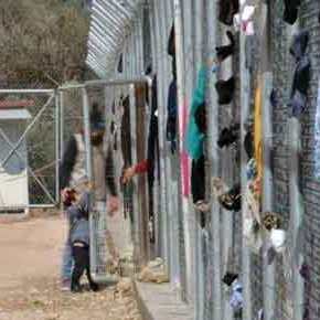 Αποφασισμένοι να χτίσουν εκκλησία απέναντι απ’ το ΚΥΤ Φυλακίου οι κάτοικοι! – Εβρίτης δώρισε το οικόπεδο&nbsp;(βίντεο)