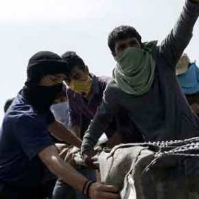 Στο έλεος τους οι κάτοικοι της Λέσβου: Αλλοδαποί κυκλοφορούν οπλισμένοι και η αστυνομία επιβάλει πρόστιμα για τον&nbsp;covid!