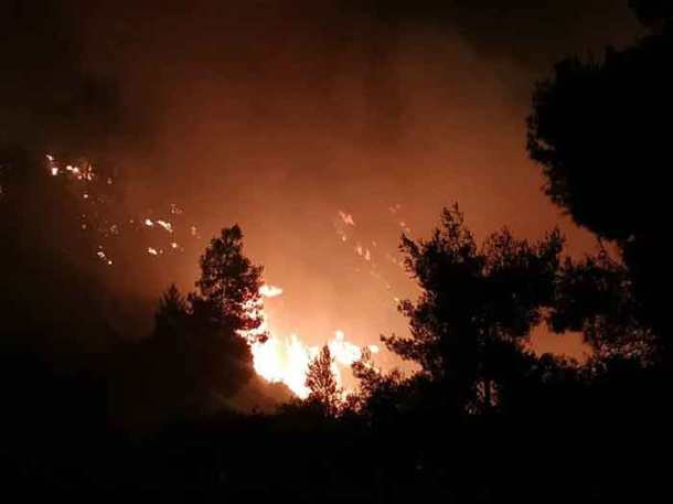 ezgif-3-4fd56d5c0f06