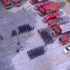 Aυτά είναι τα »θηρία» που έφεραν οι Ρουμάνοι στην Ελλάδα: Εντυπωσιάζουν οι&nbsp;ομόδοξοι