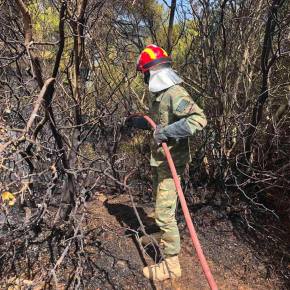 ΕΝΟΠΛΕΣ ΔΥΝΑΜΕΙΣ… Συνέχεια στο τεράστιο έργο συνδρομής (pics /&nbsp;vid.)