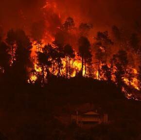 Φωτιές: Το μέγεθος της καταστροφής σε αριθμούς – Πάνω από 650.000 στρέμματα&nbsp;καμένα