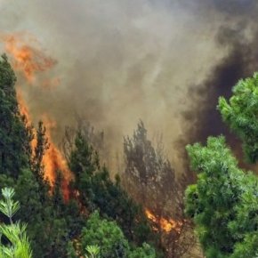 «Κρανίου τόπος» η βόρεια Εύβοια- Αναζωπυρώσεις παντού: «Αν δεν έρθει βοήθεια θα καούμε 60.000 άνθρωποι»&nbsp;(upd)