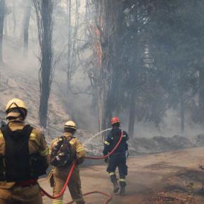 Φωτιά στο Τατόι: Δυσκολεύει η κατάσταση – Σε κίνδυνο τα οχήματα της Βασιλικής Οικογένειας αξίας εκατομυρίων&nbsp;ευρω