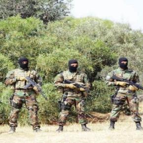 Σε απόλυτη ετοιμότητα! Ο Έβρος εκπέμπει SOS-Προσοχή στις νησίδες του&nbsp;ποταμού